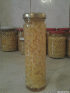 Kukorica télire